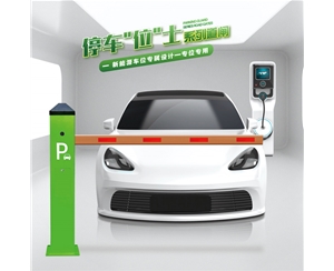 滨州RG-CW系列车位小道闸